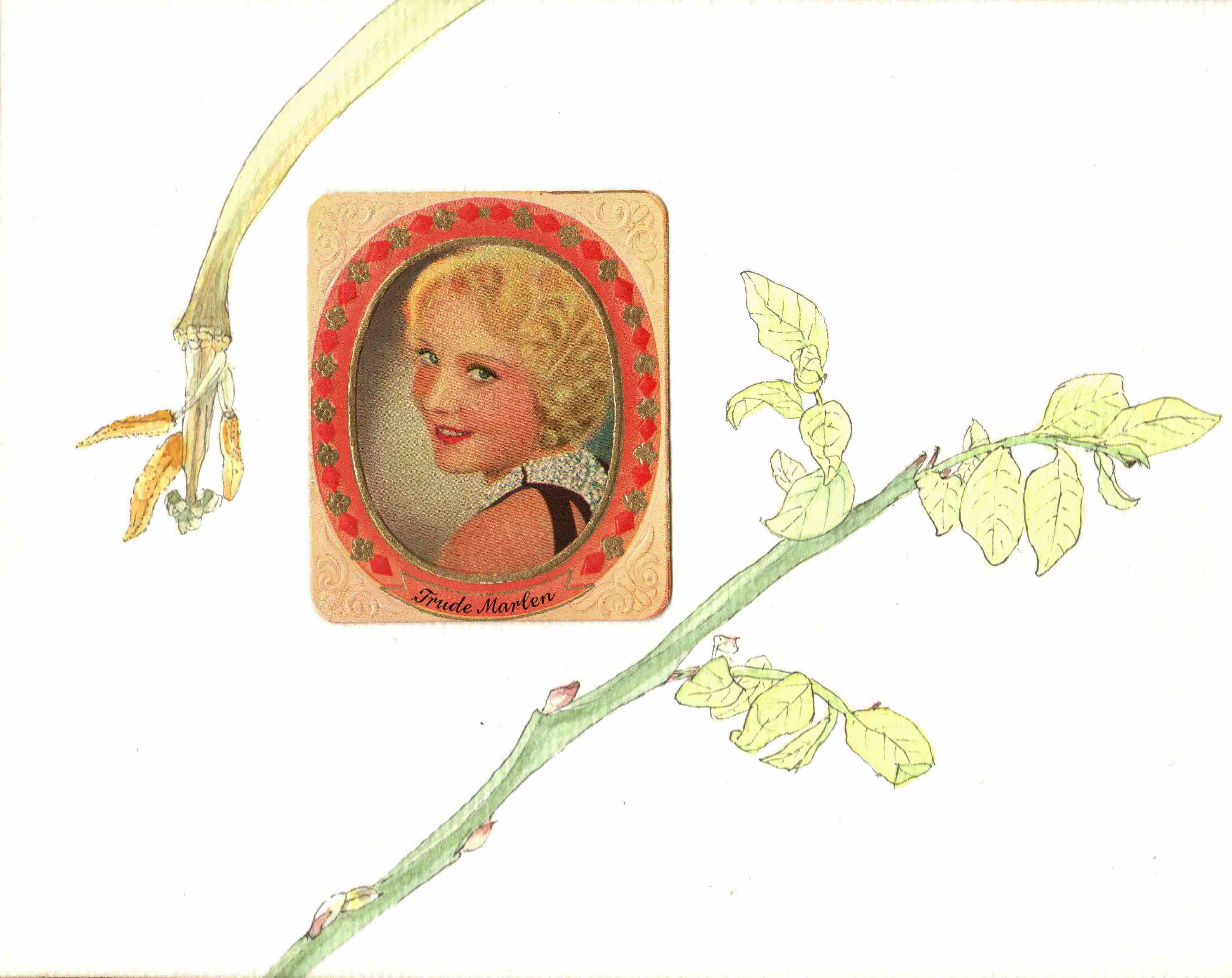 Misaki Kawabe, "Sprout 5," ink, watercolor and photo on paper, 14.8 x 21.0 cm, 2025