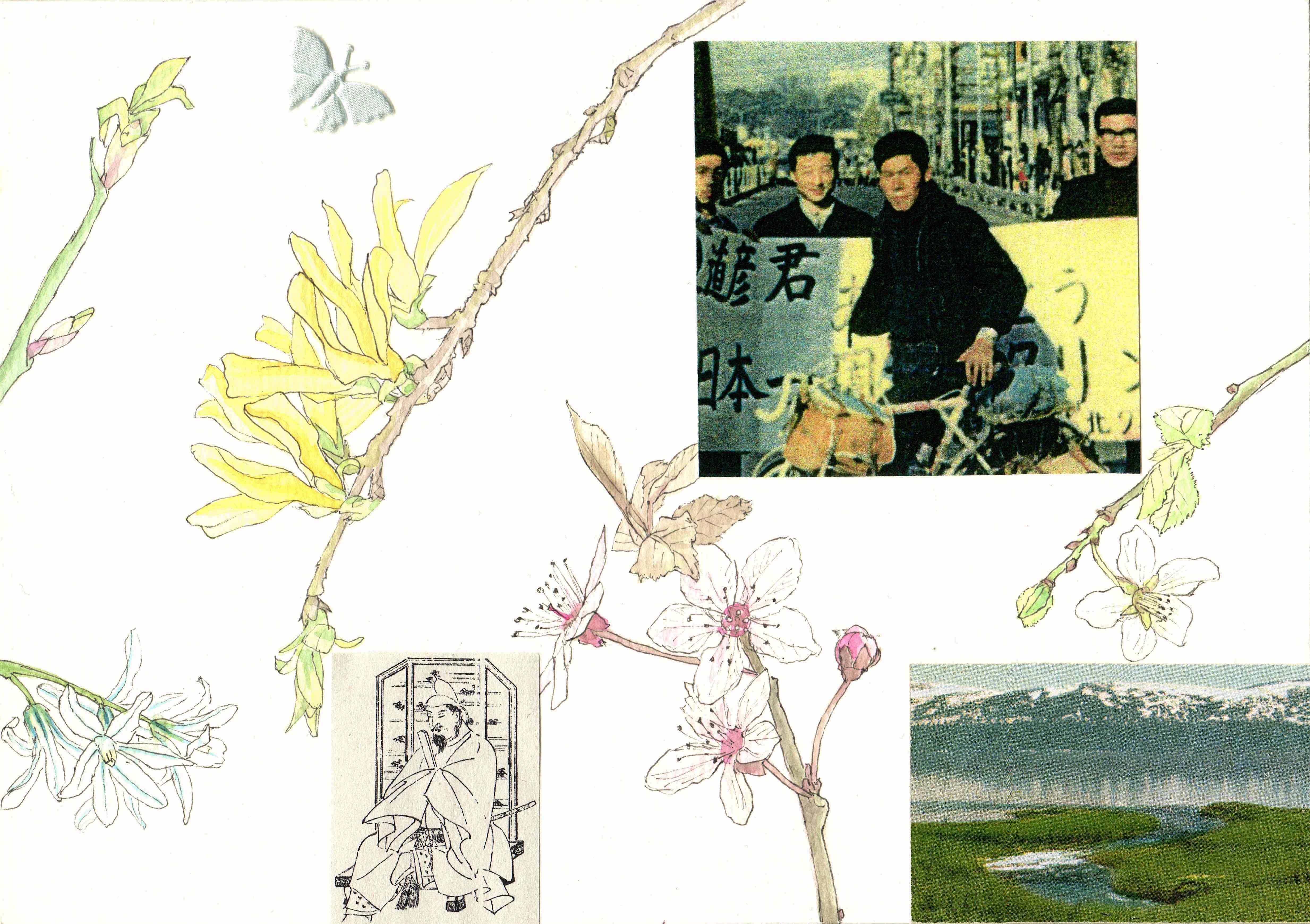 Misaki Kawabe, "Sprout 6," ink, watercolor and photo on paper, 14.8 x 21.0 cm, 2025