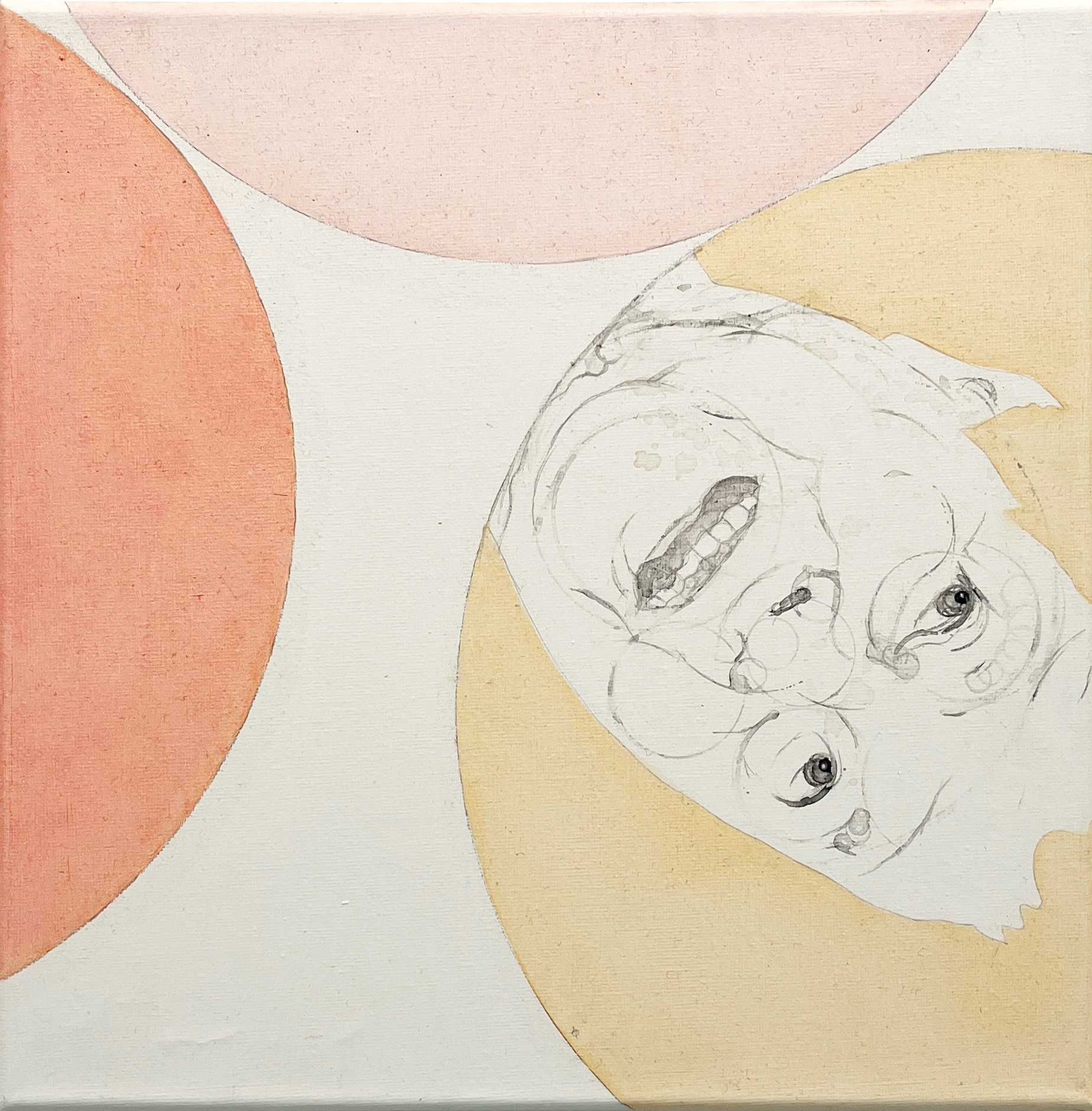 Misaki Kawabe, "Wa 3s," Indian Ink, tea, oil on canvas, 30.0 x 30.0 cm, 2024