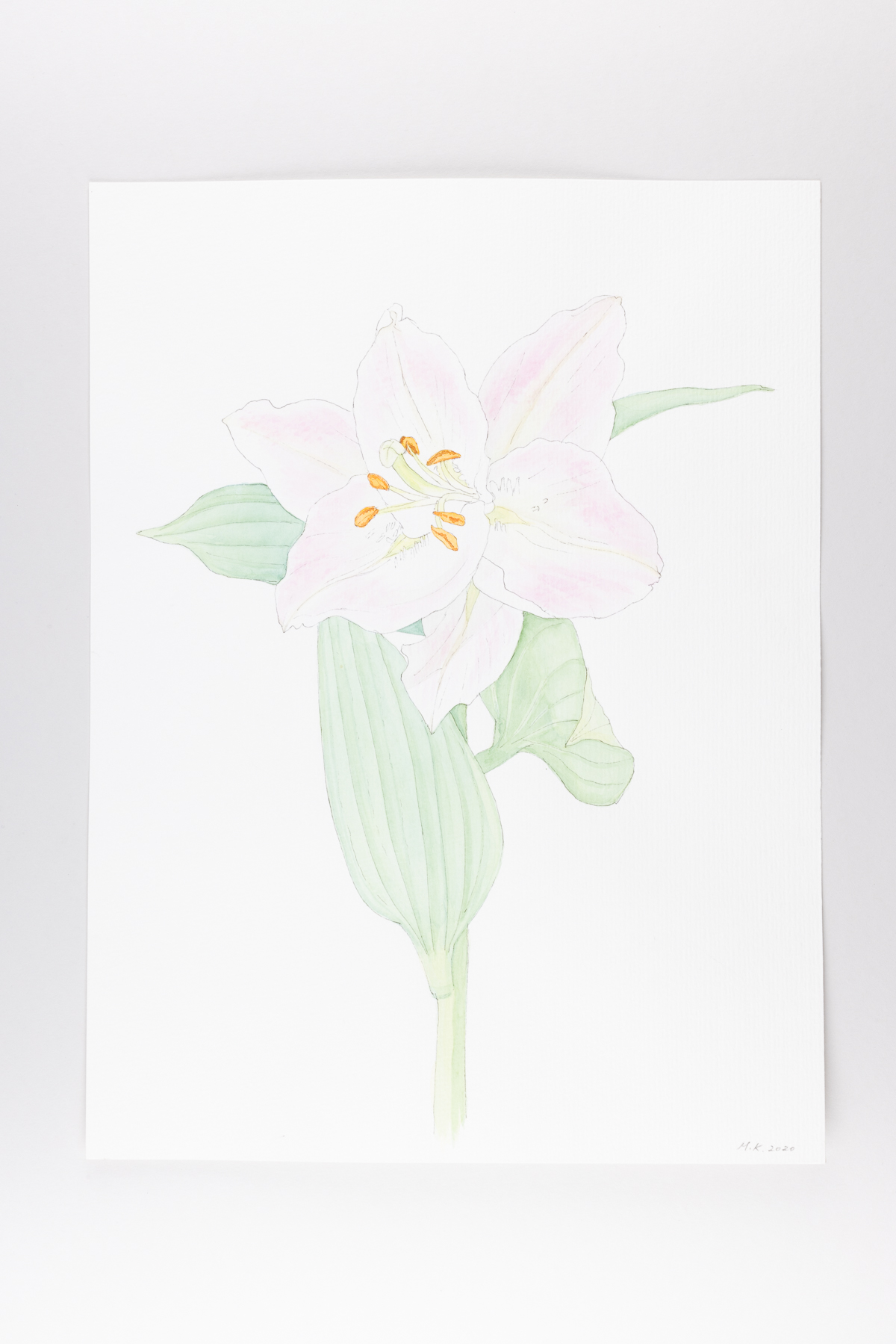 Misaki Kawabe, "C-diary 4," ink and watercolor on paper, 32.0 x 24.0 cm, 2020