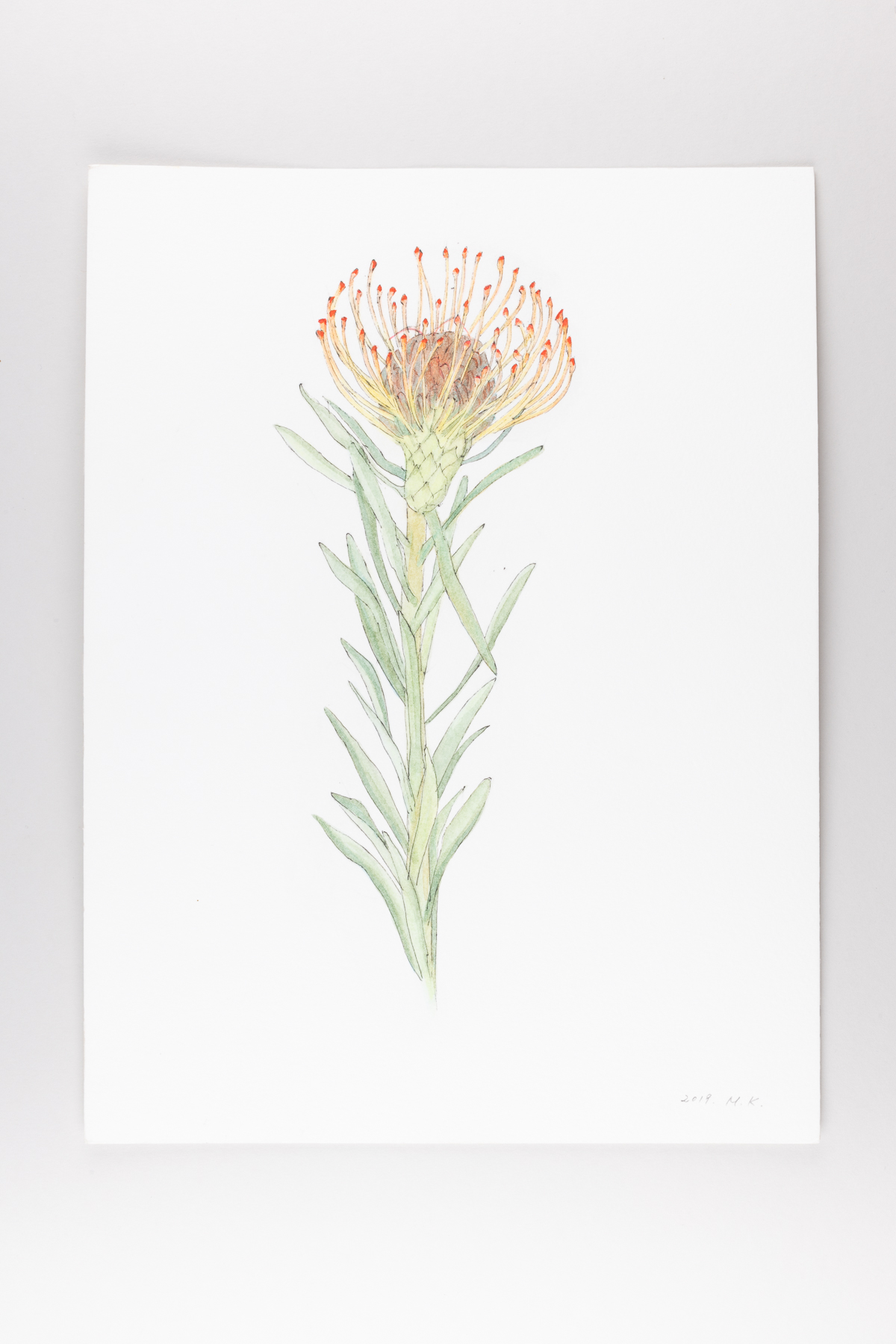 Misaki Kawabe, "C-diary 9," ink and watercolor on paper, 32.0 x 24.0 cm, 2019