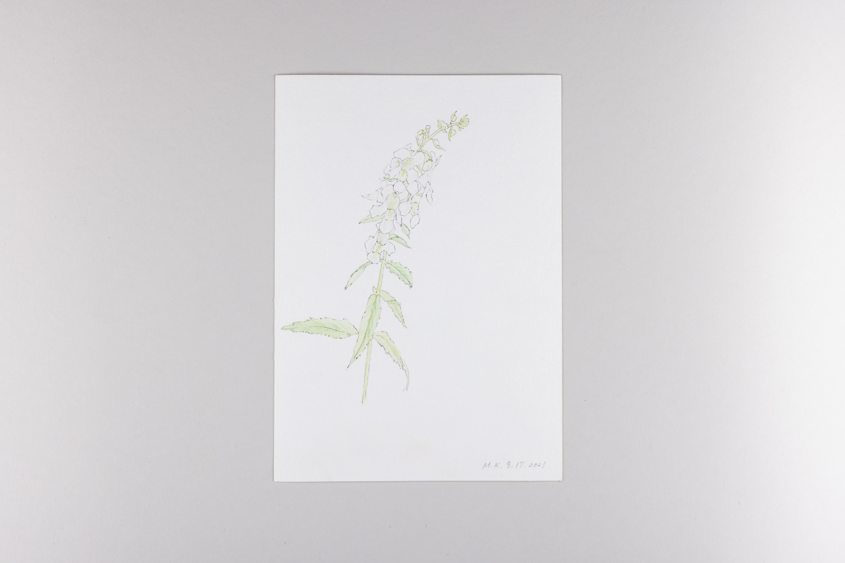 Misaki Kawabe, "Covid diary 6," ink and watercolor on paper, 21.0 x 14.8 cm, 2021