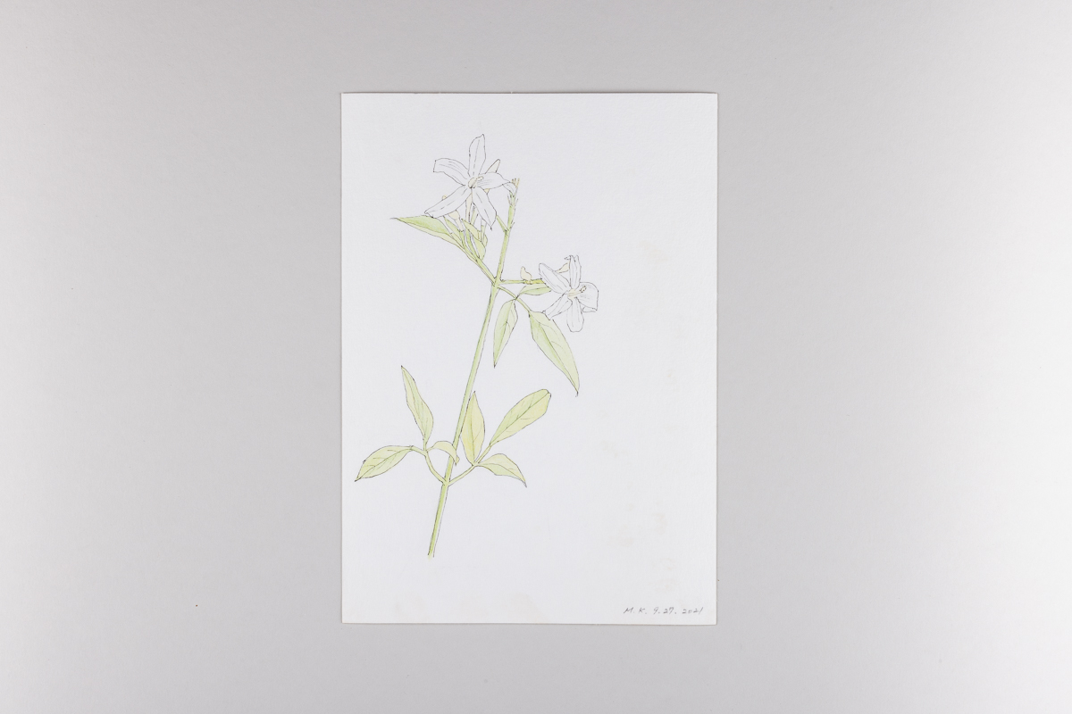 Misaki Kawabe, "Covid diary 8," ink and watercolor on paper, 21.0 x 14.8 cm, 2021