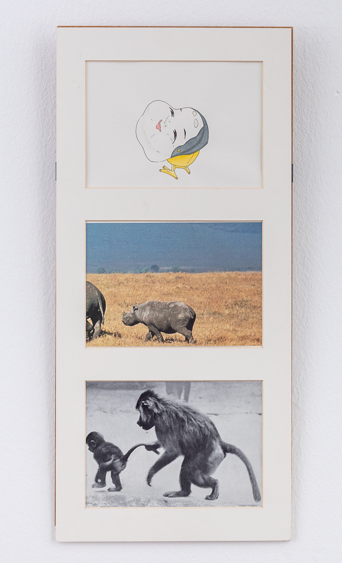 Misaki Kawabe, "Babypause c," ink, watercolor and photo on paper, 49.5 x 23.0 cm, 2012