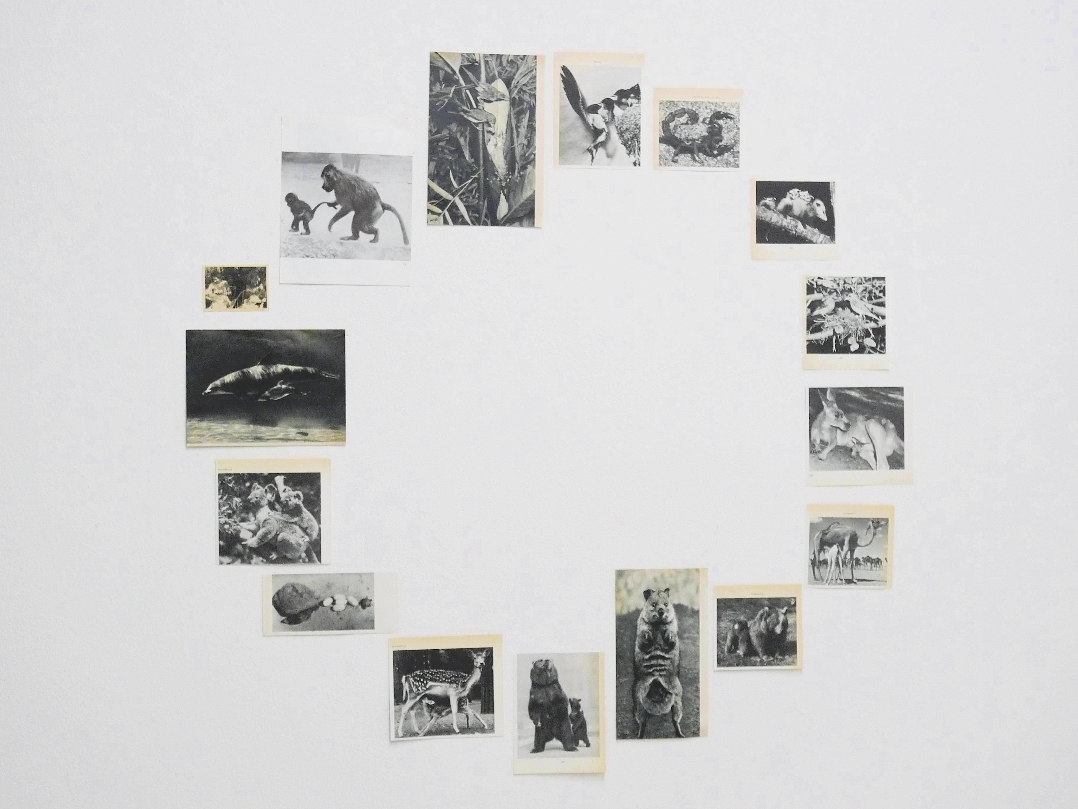 Misaki Kawabe, "Babypause," 2011