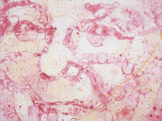 Misaki Kawabe, "Clara," mixed media, 2003